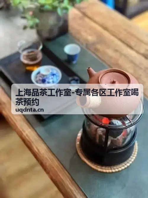 上海品茶工作室静安雅集茶室商务茶叙场景